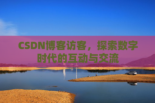 CSDN博客访客，探索数字时代的互动与交流